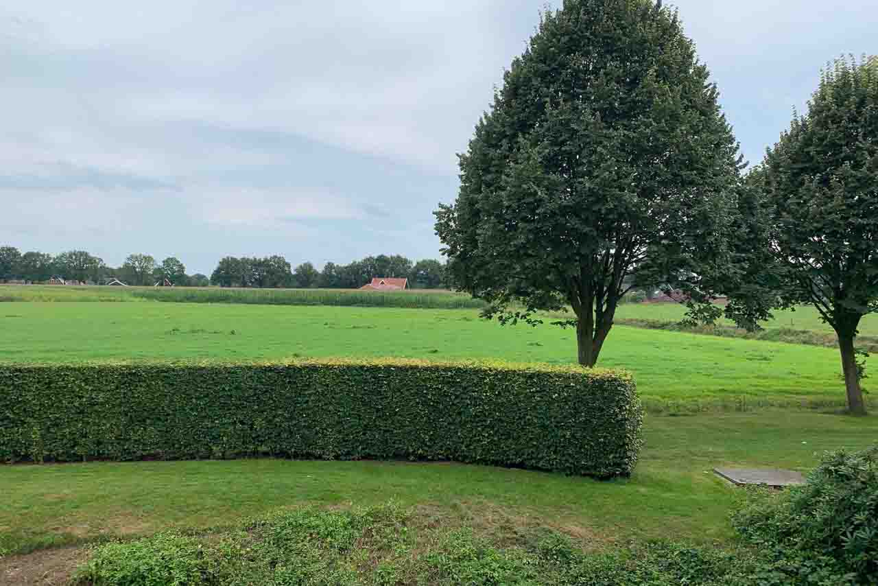 backlighting 1671722